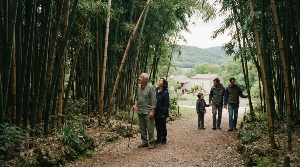 Histoire de la bambouseraie d’anduze en quelques dates : un patrimoine naturel unique