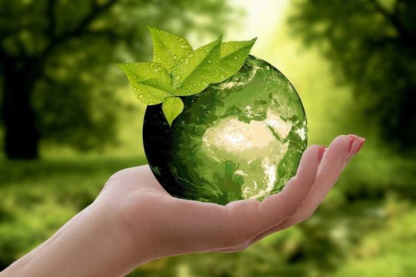 5 gestes écologiques à adopter au quotidien