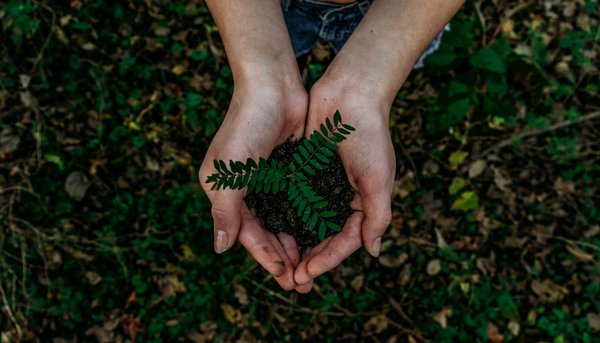 Les questions environnementales seront débattues au Salon d'Angers