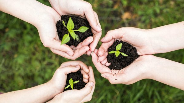 Découvrez les associations françaises qui agissent pour l'écologie
