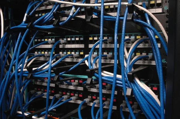 La Baie de Brassage Informatique : Tout ce que vous devez savoir pour une gestion écologique réussie