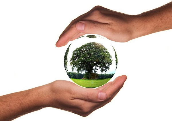 Comment Réduire son Empreinte Écologique au Quotidien ?
