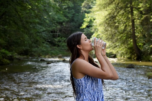 Quels sont les effets de la pollution sur la santé et l'environnement ?