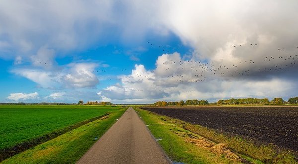 Découvrez des initiatives écologiques inspirantes dans le monde entier