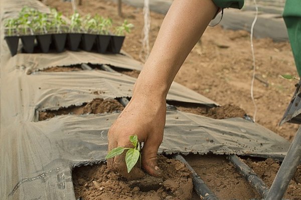 Comment s'adapter aux coutumes locales en matière d'écologie à l'étranger ?