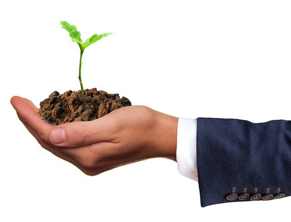 Quels sont les avantages d'une entreprise verte pour les salariés et les clients ?