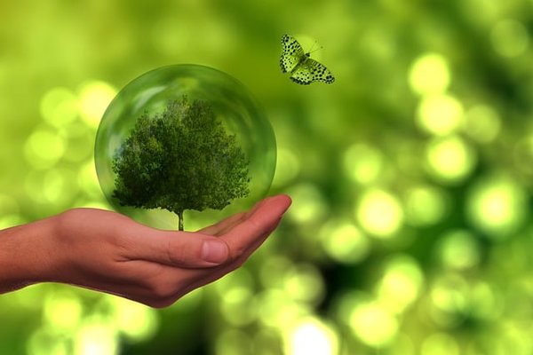 Quels sont les conseils pour trouver un camping écologique idéal ?